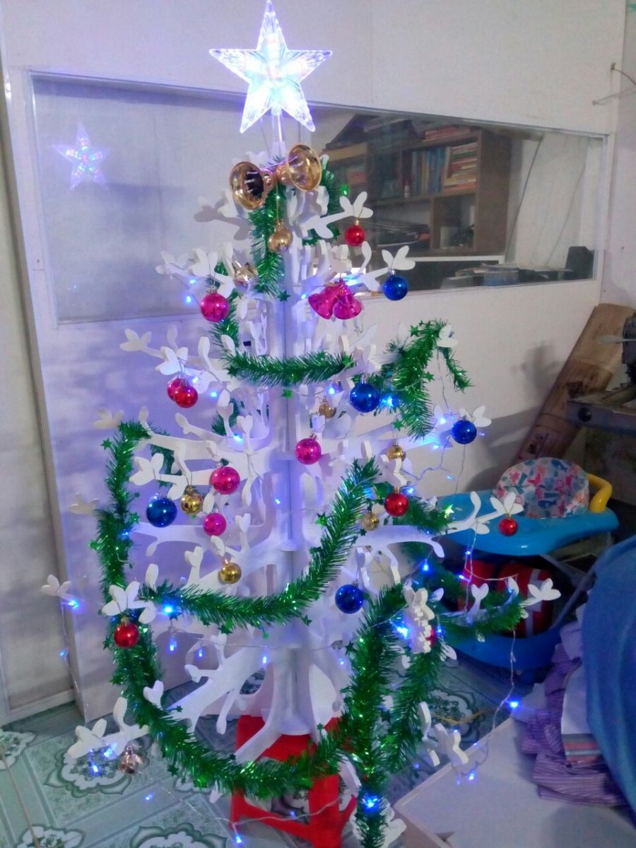 cay thong noel