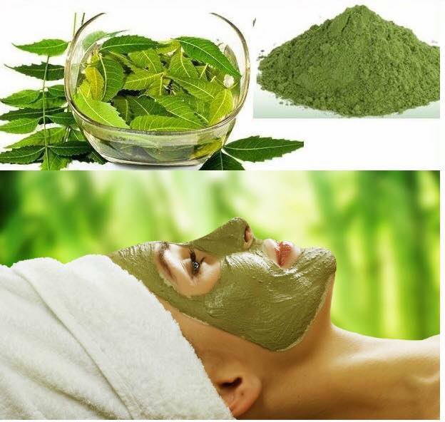 Công dụng tuyệt vời từ lá Neem