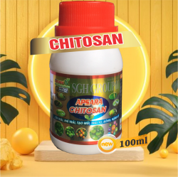 Chitosan(chip)