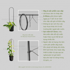 Dây thép bọc nhựa dùng để cố định cây (cuộn: 10 mét )