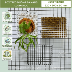 Box Treo Ổ Rồng LUOIKEMOC - Trang Trí Tường Rêu