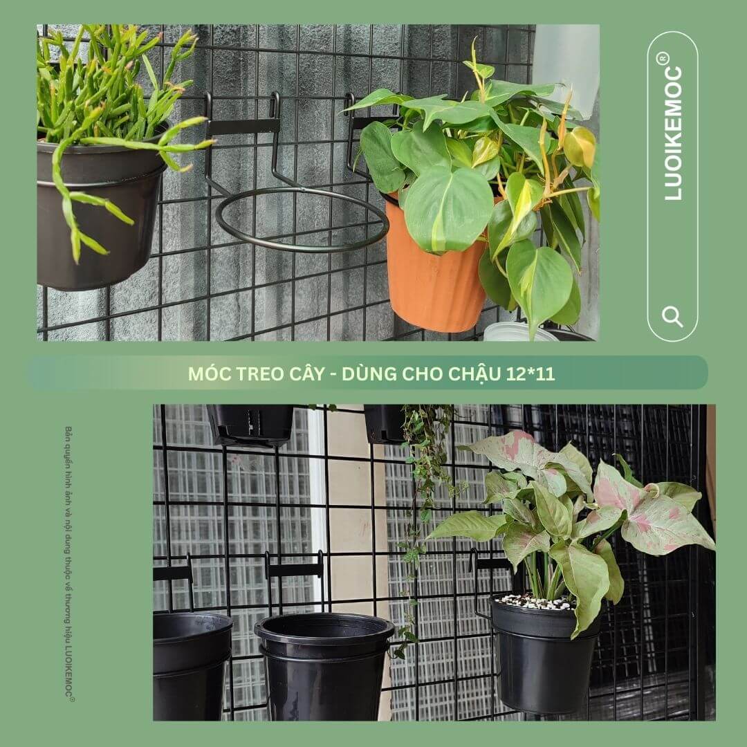 MÓC TREO CÂY DÙNG CHẬU 12*11 LUOIKEMOC