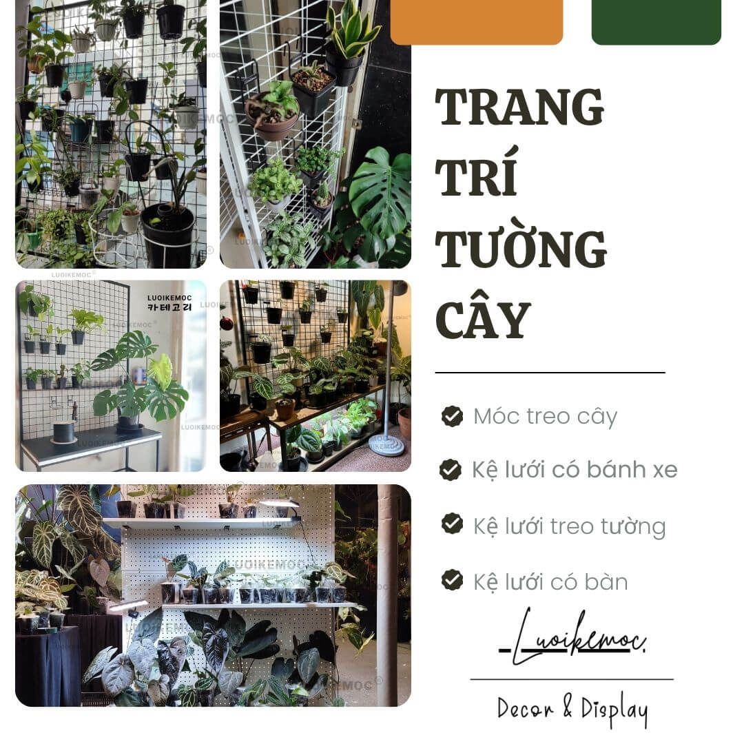 TRANG TRÍ TƯỜNG CÂY LUOIKEMOC