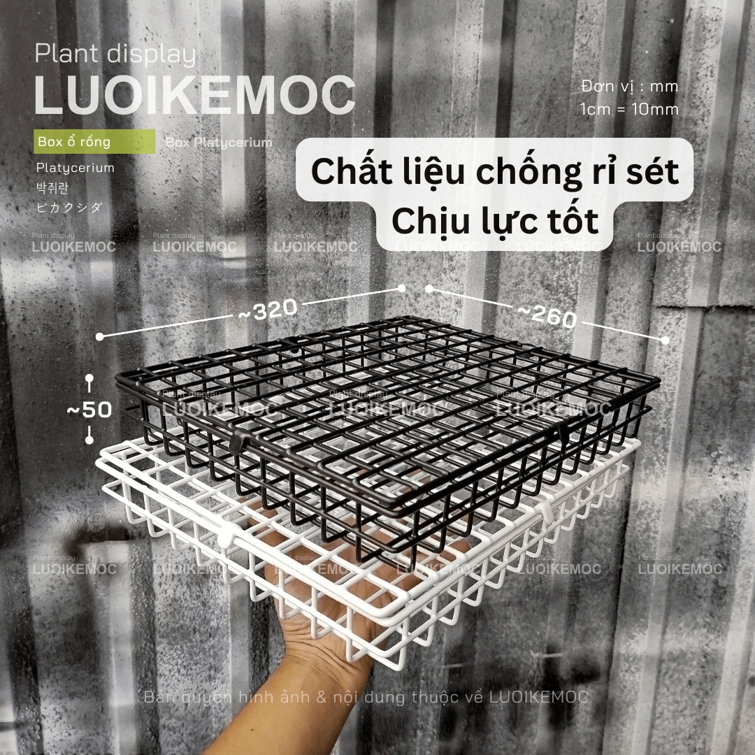 box ổ rồng chất liệu chống rỉ sét LUOIKEMOC