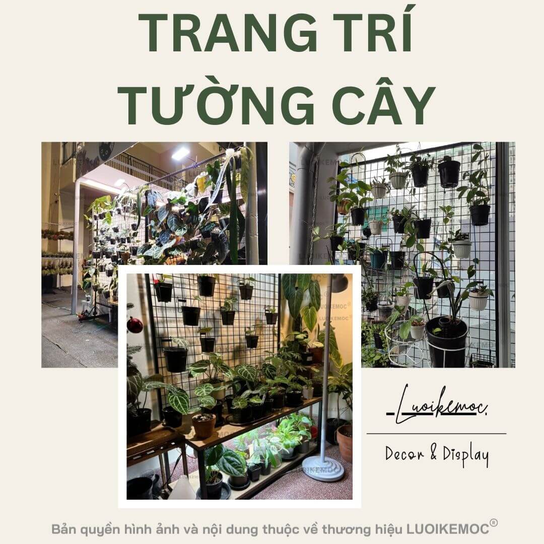 MÓC TREO CÂY - TRANG TRÍ TƯỜNG CÂY LUOIKEMOC
