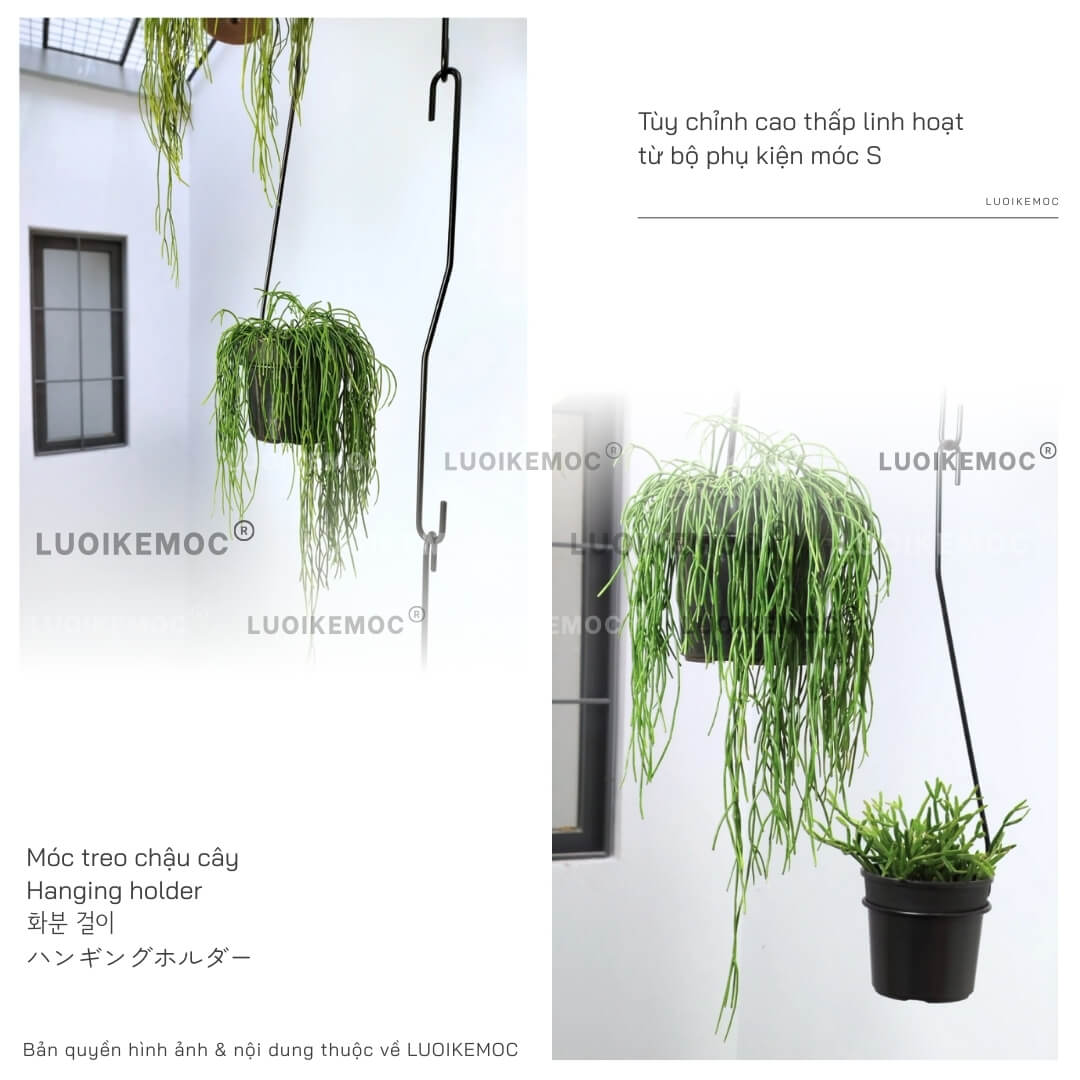 Móc chữ S treo chậu cây