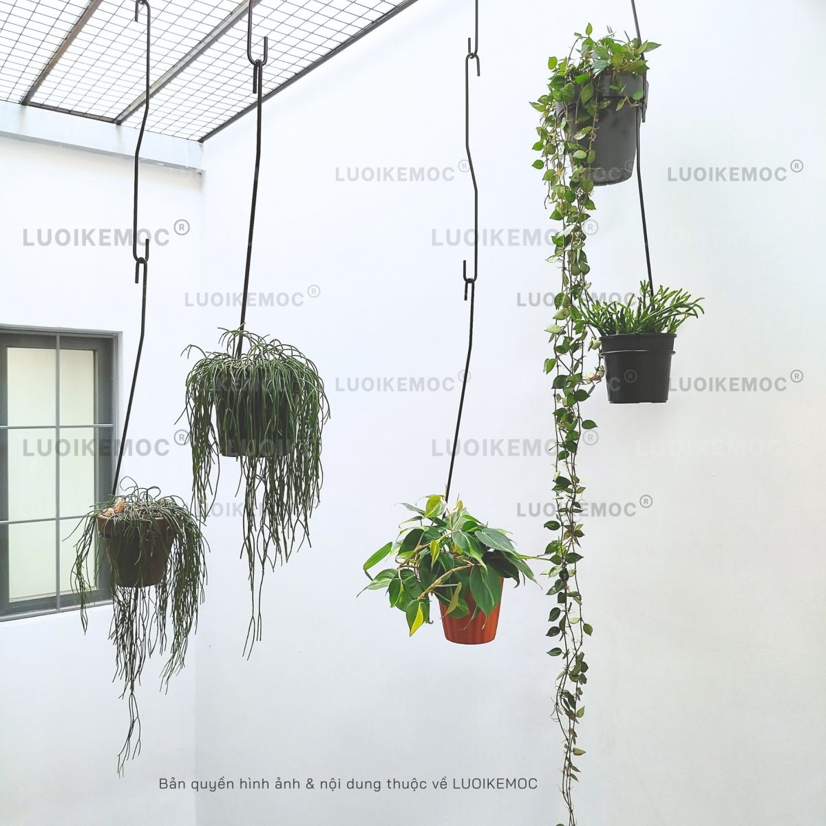 móc treo chậu cây thả trần LUOIKEMOC