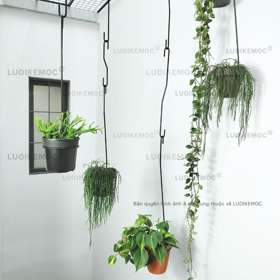 Móc Chữ S Treo Chậu Cây 